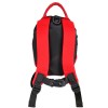 Plecak dziecięcy ze smyczą 1-3 lat Littlelife Animal Toddler Backpack Ladybird 2L 14 x 18 x 23 cm