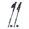 Kije trekkingowe Rockland Access Lite