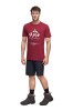 Koszulka męska T-shirt Alpinus Polaris bordowy