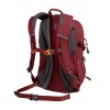 Plecak turystyczny Alpinus Teide 24L burgund